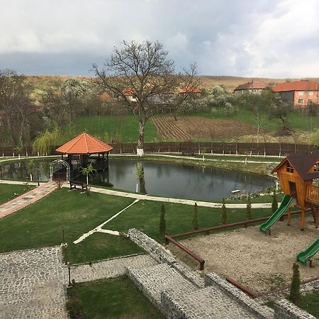 Pensiunea Amurg Mesesenii de Sus Экстерьер фото