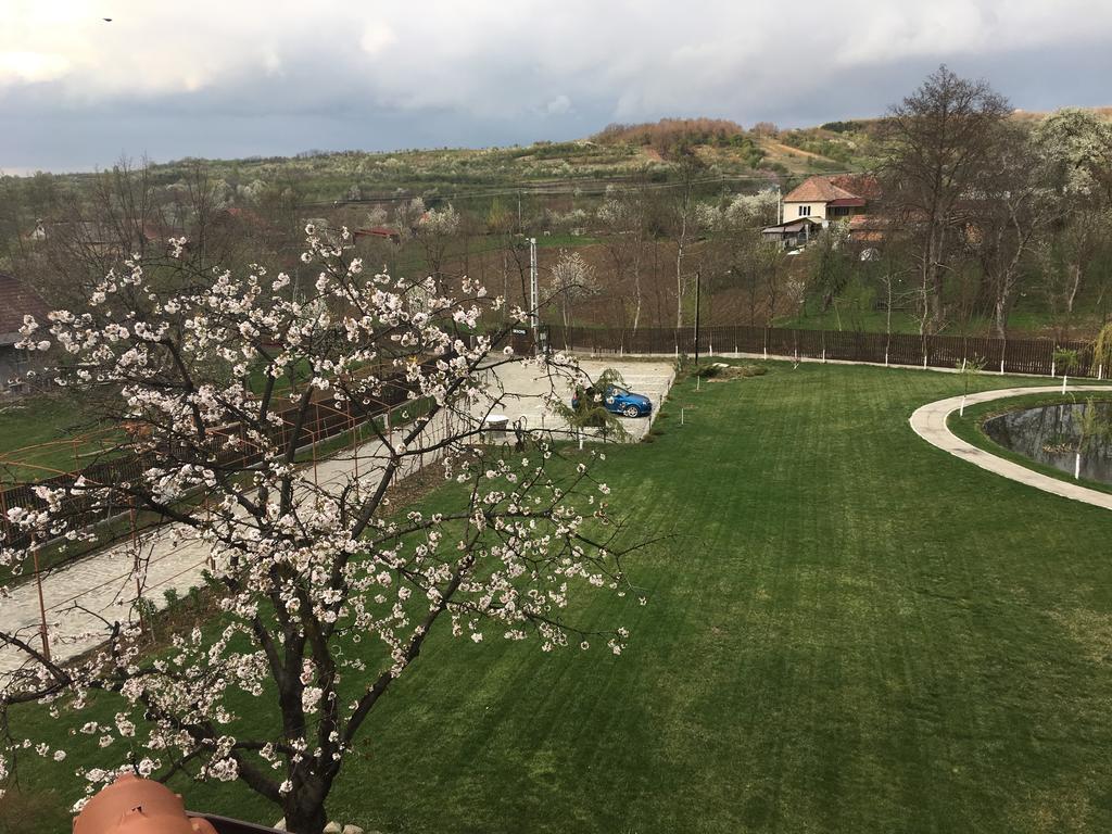 Pensiunea Amurg Mesesenii de Sus Экстерьер фото