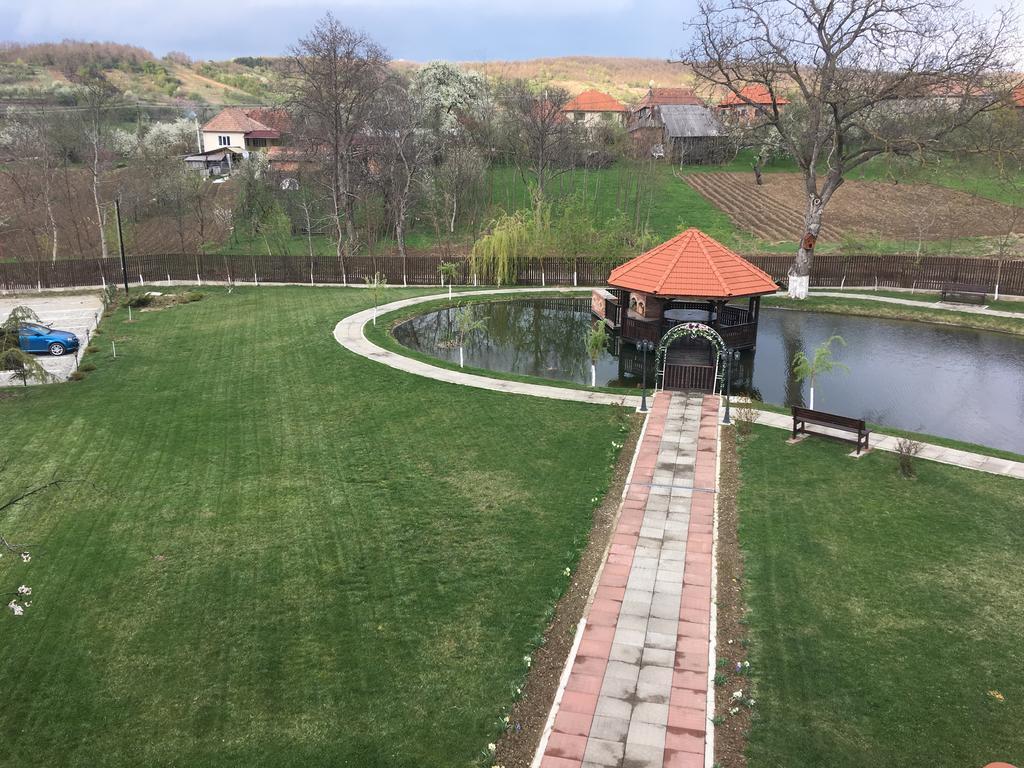 Pensiunea Amurg Mesesenii de Sus Экстерьер фото